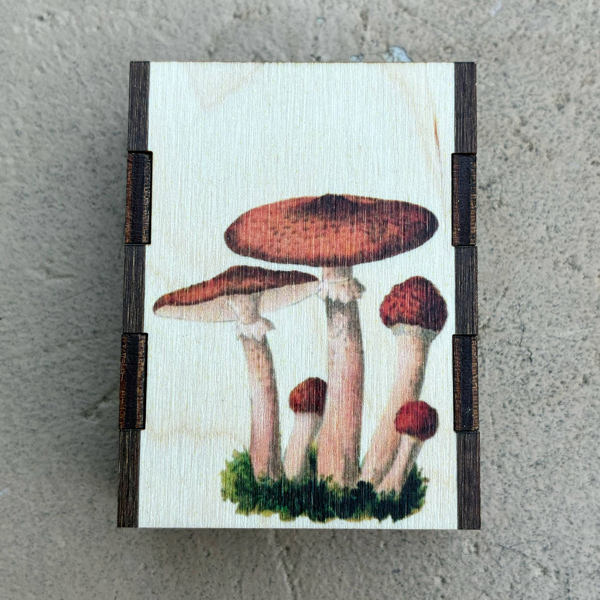 Matches - Mushroom Cluster - Wooden Matchboxes