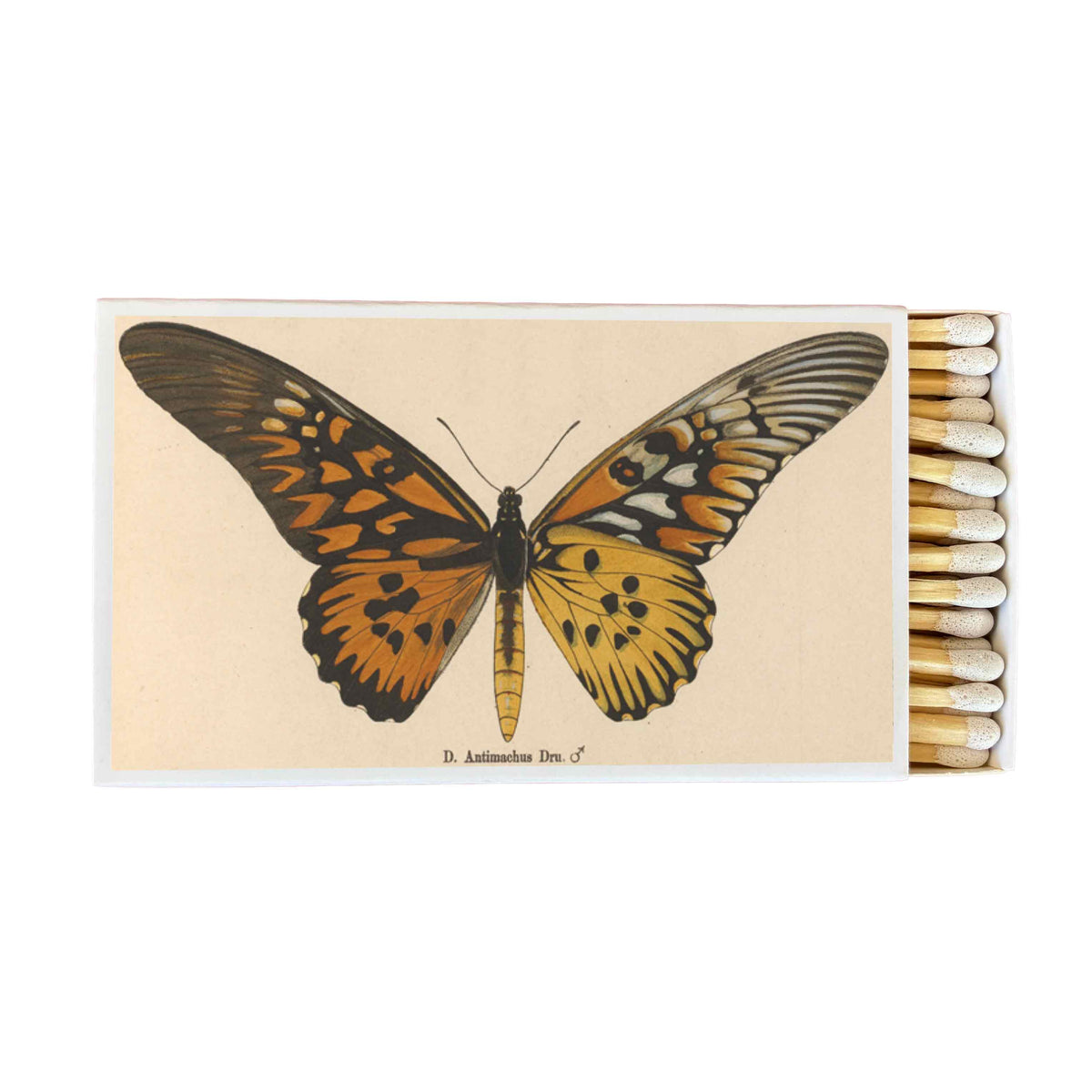 Matches - Butterfly