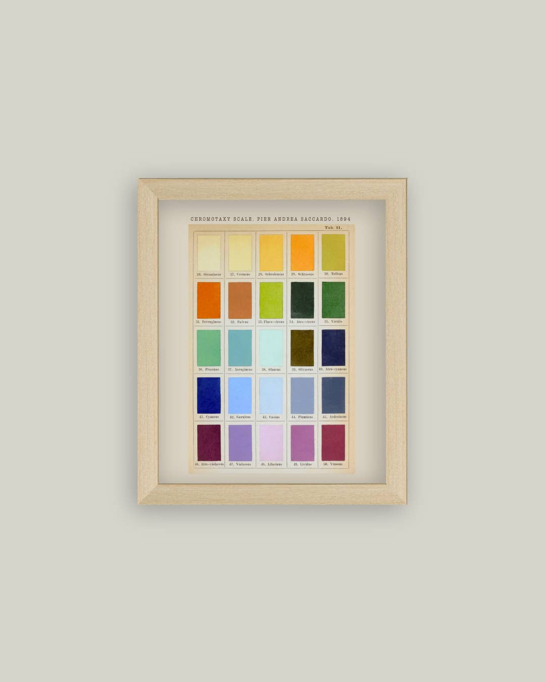 Color Swatch Framed Antique Art
