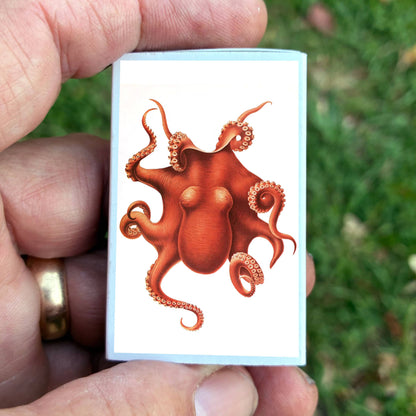 Matches - Octopus
