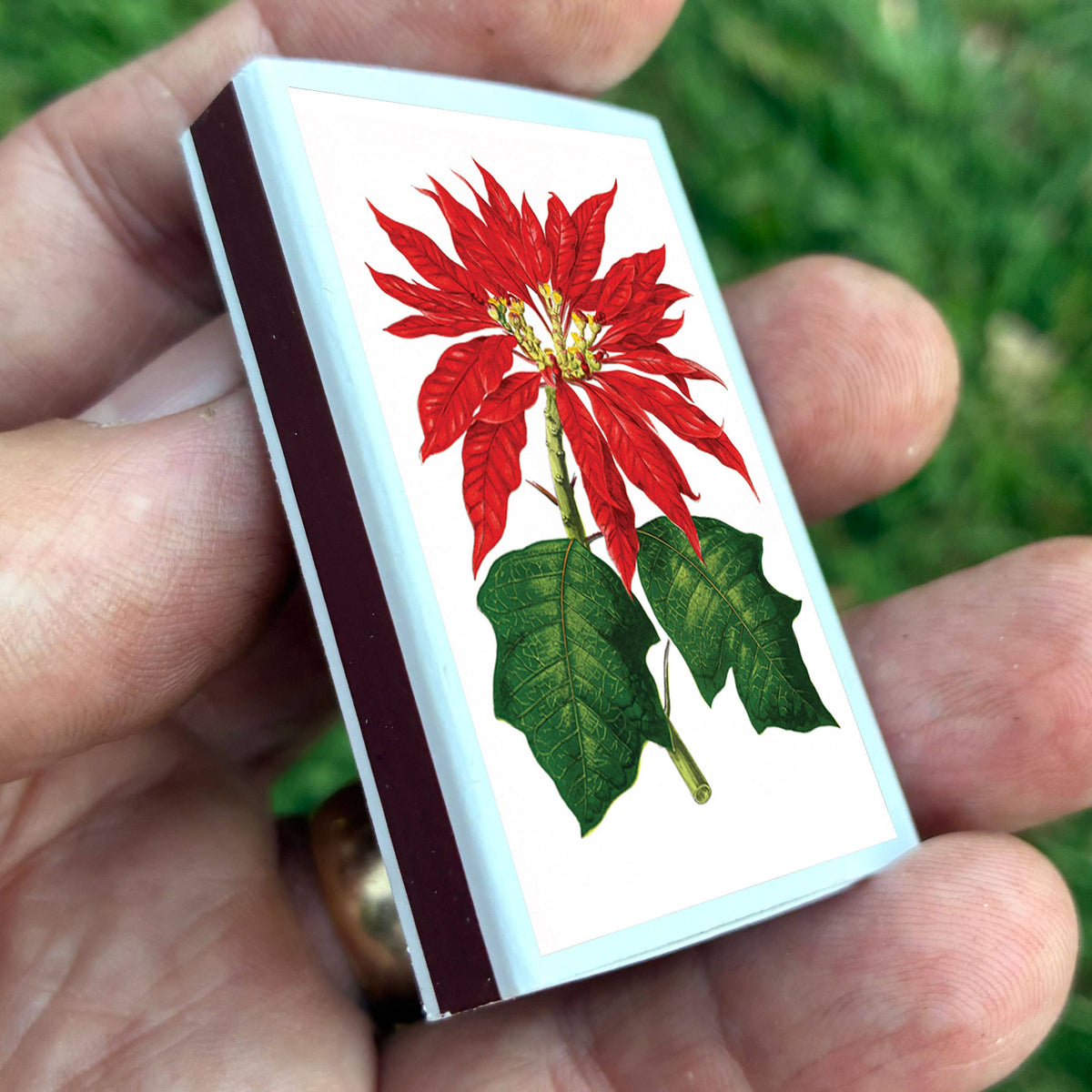 Matches - Poinsettia Flowers