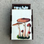 Matches - Mushroom Cluster - Wooden Matchboxes
