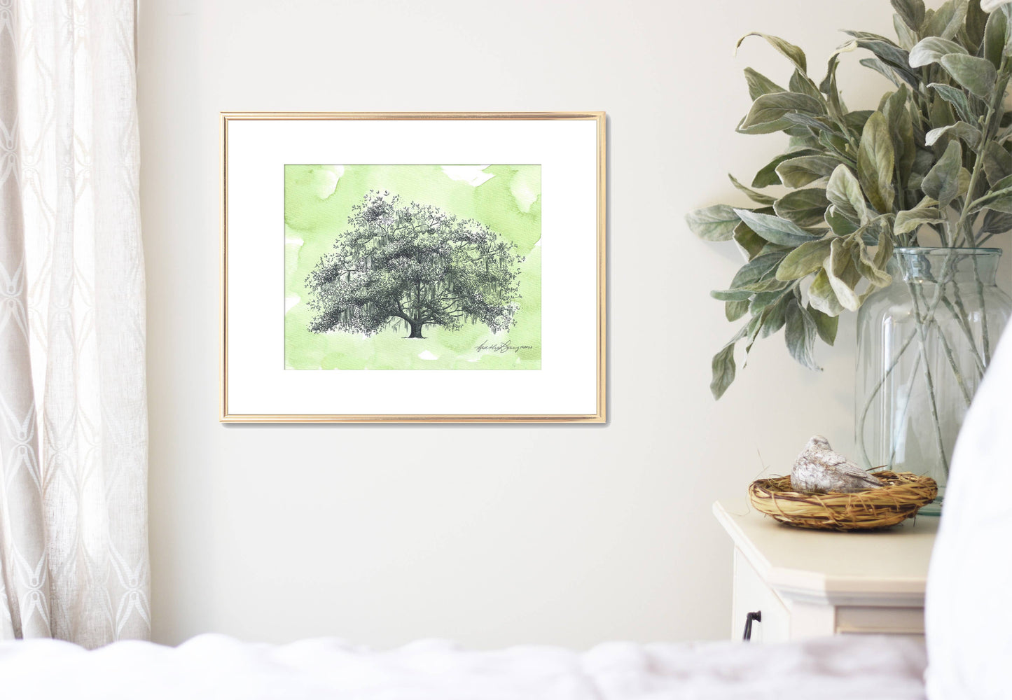 Old Dairy Oak Tree