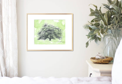 Old Dairy Oak Tree