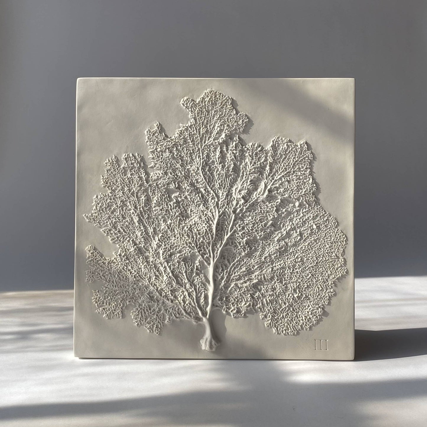 Sea Fan III