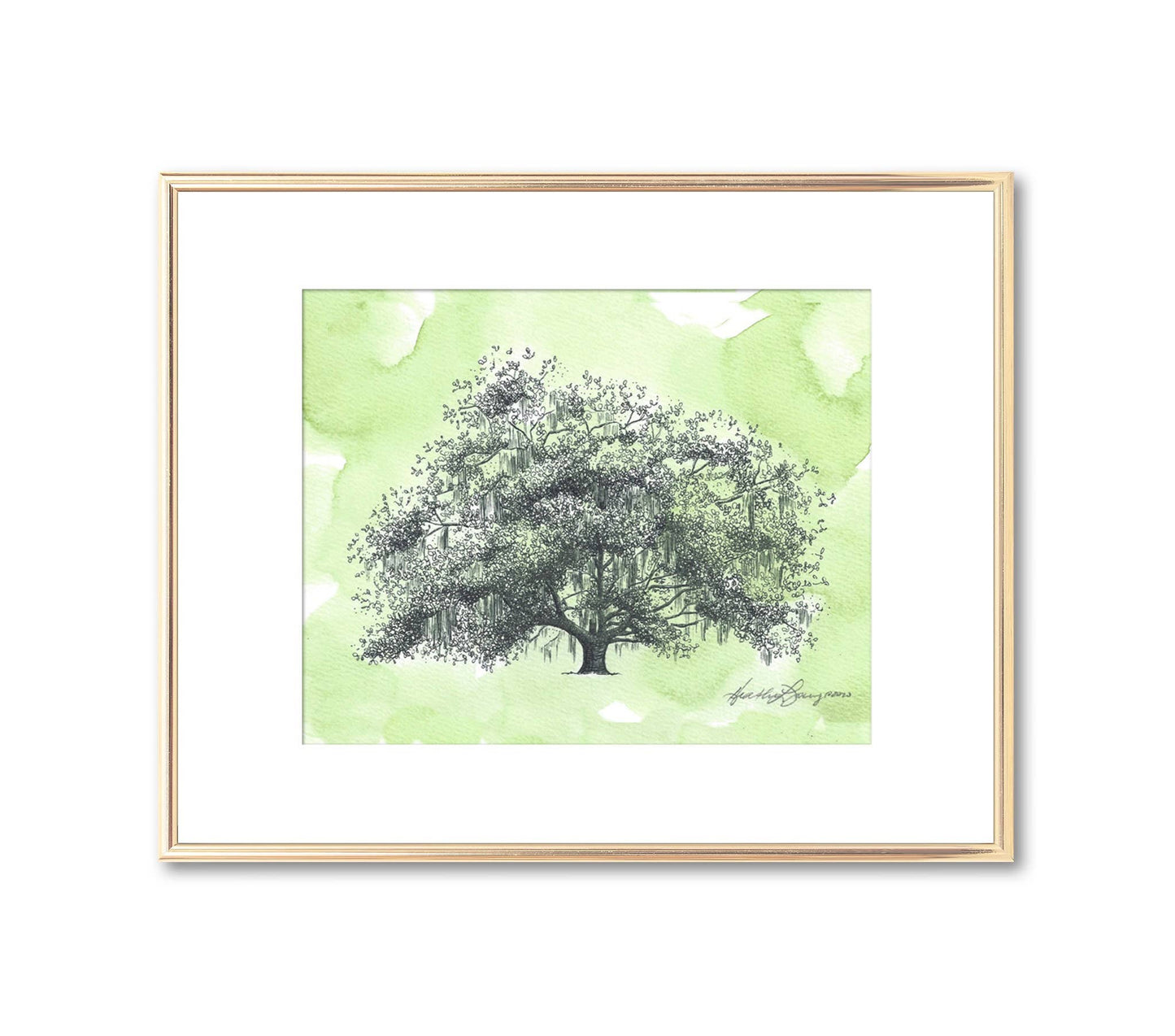 Old Dairy Oak Tree