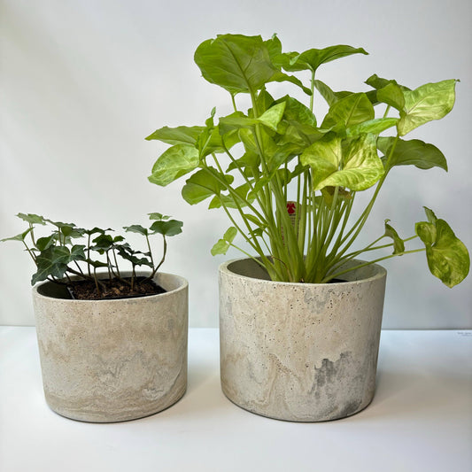 Hera Planter Pot