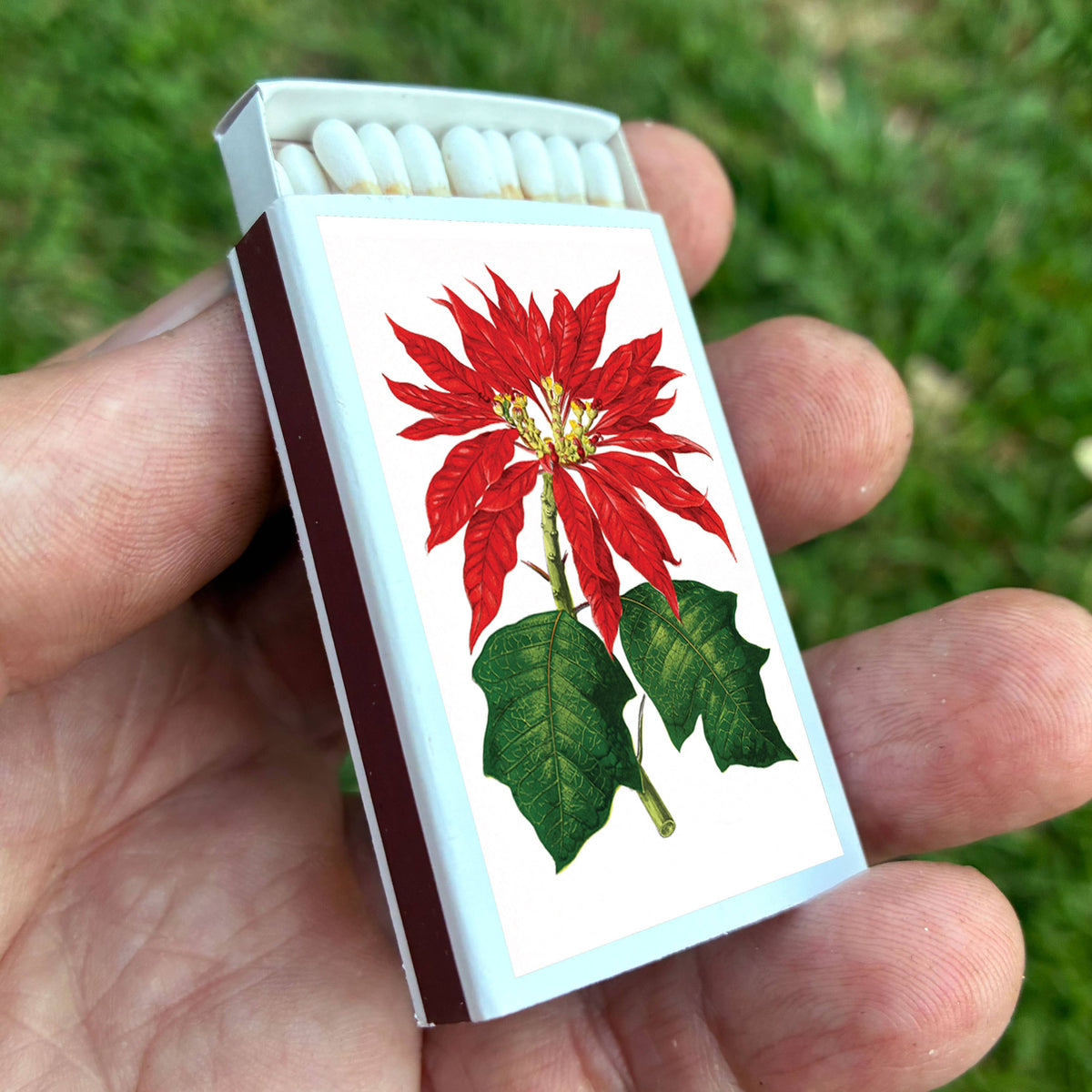 Matches - Poinsettia Flowers