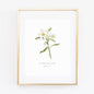 Matthew 28:6 easter lily scripture print