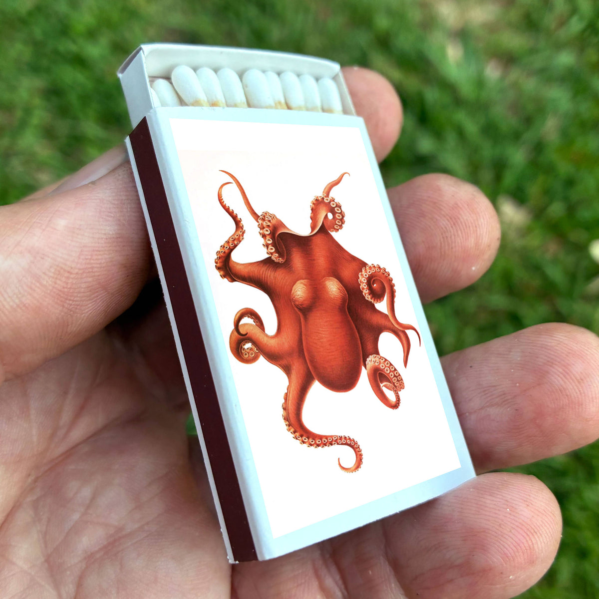 Matches - Octopus