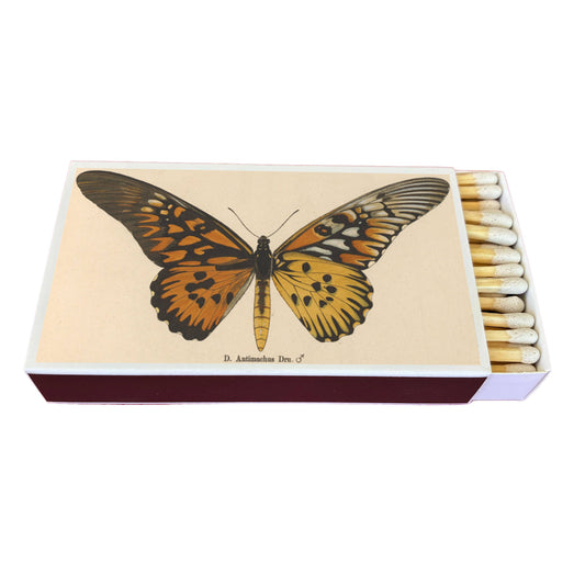 Matches - Butterfly