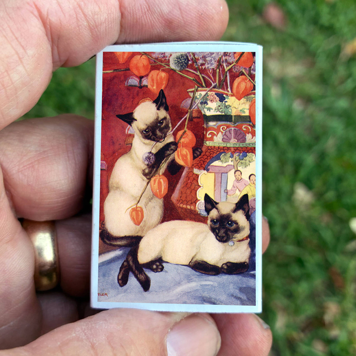 Matches - Siamese Cats