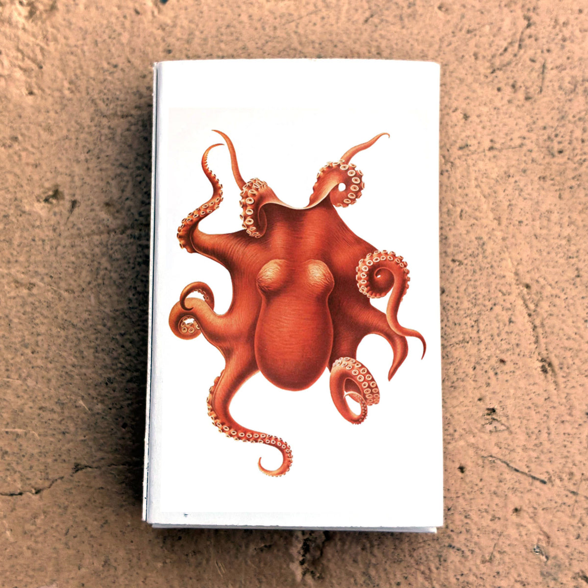 Matches - Octopus