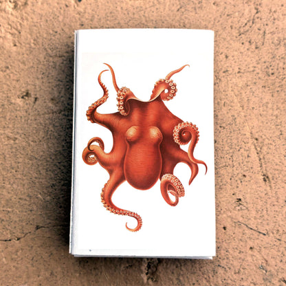 Matches - Octopus