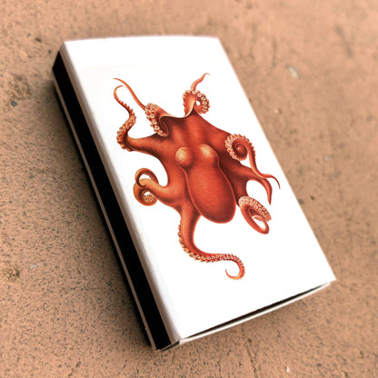 Matches - Octopus