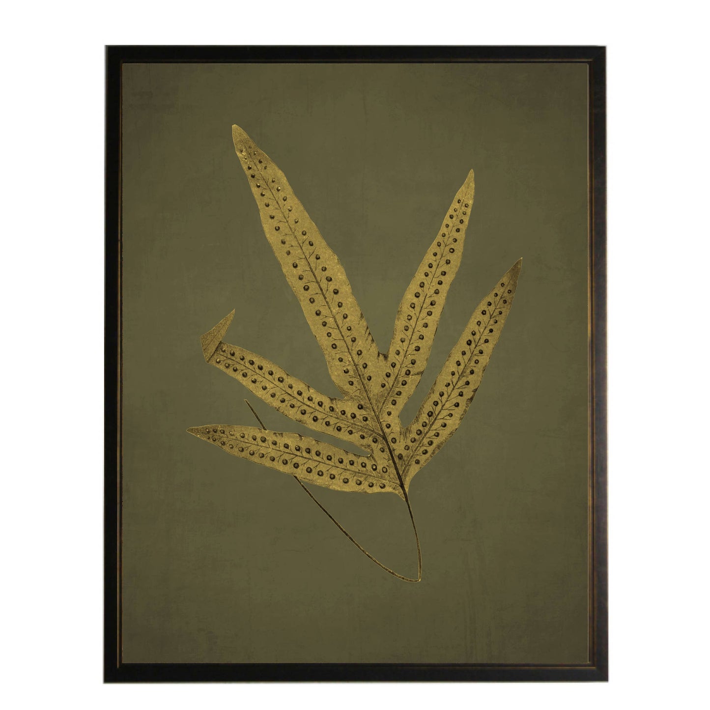 Golden Fern on Distressed Green Background Framed Print