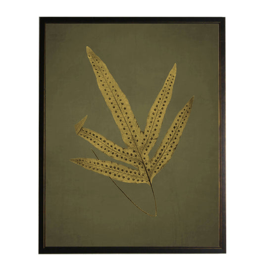 Golden Fern on Distressed Green Background Framed Print