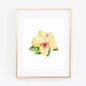 Hibiscus tropical watercolor wall art print