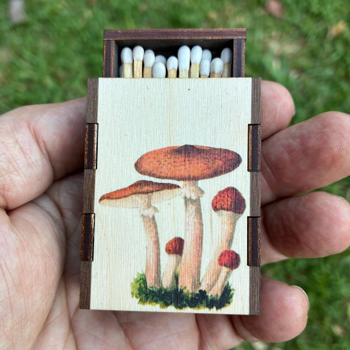 Matches - Mushroom Cluster - Wooden Matchboxes