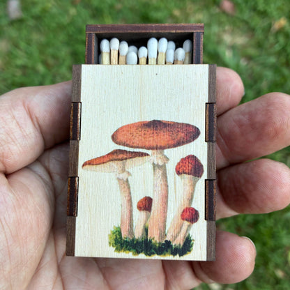 Matches - Mushroom Cluster - Wooden Matchboxes