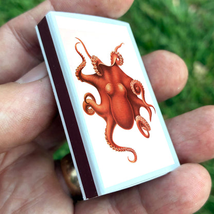 Matches - Octopus