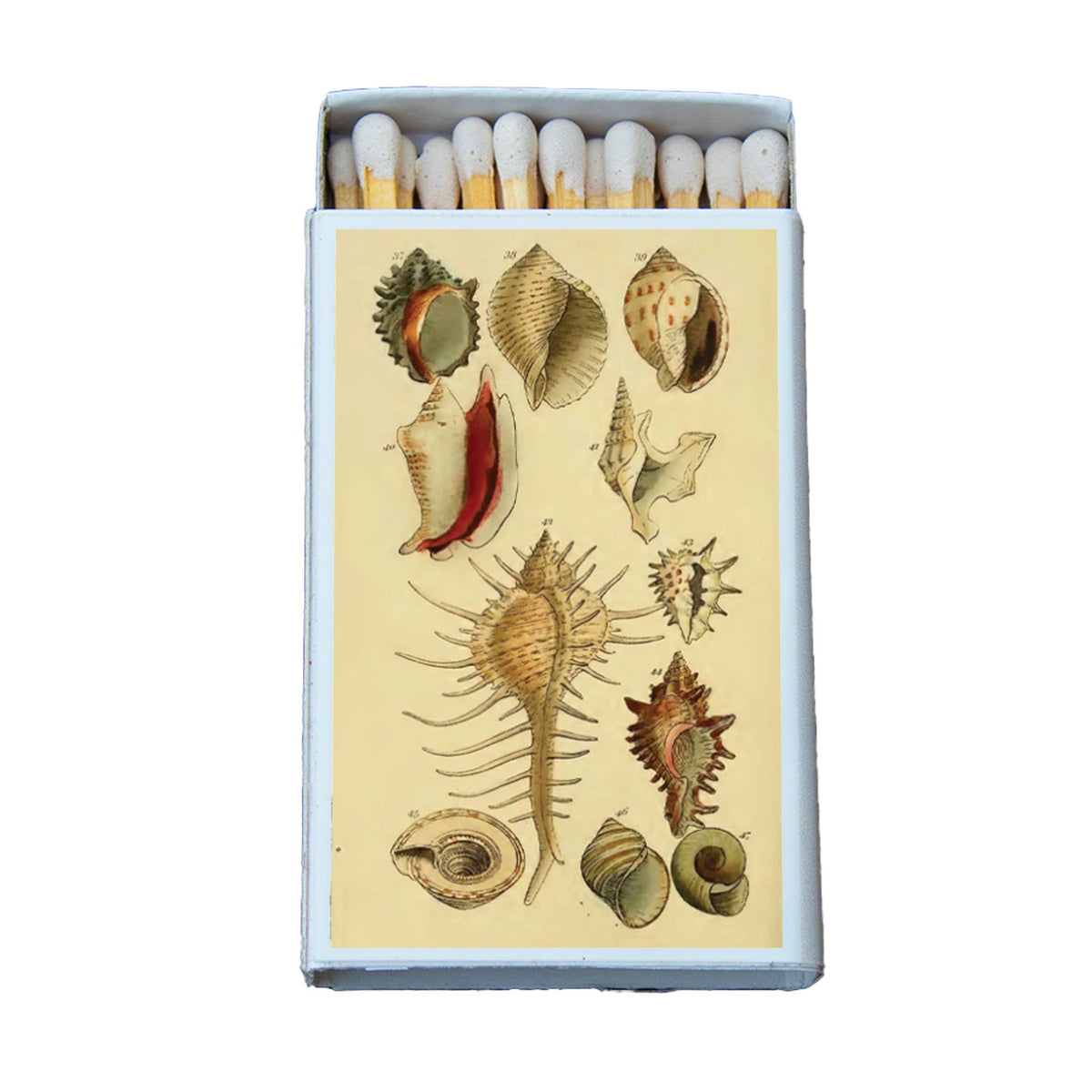 Matches - Shells Variety
