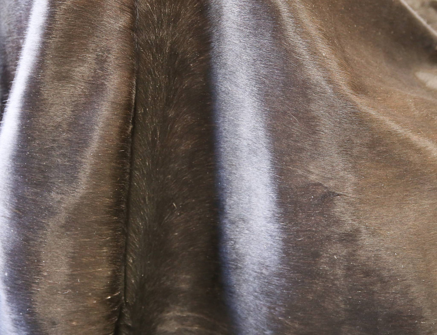 Small Cowhide Rug 5 x 7