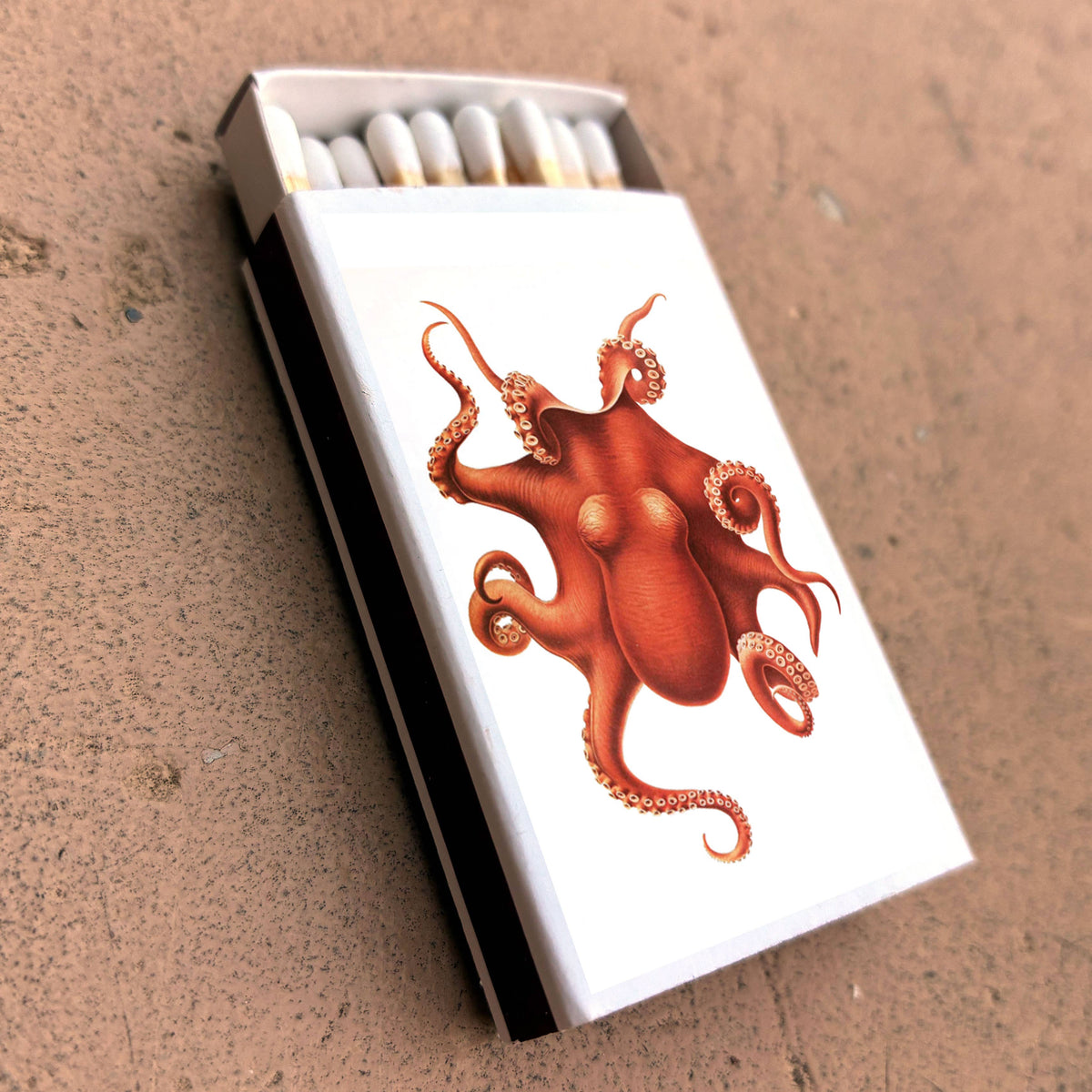 Matches - Octopus