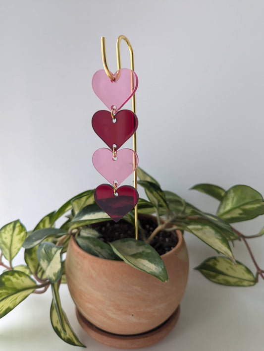 Plant Pick: Pink & Red Hearts