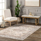 Darby Persian Stain Repellent Machine Washable Area Rug