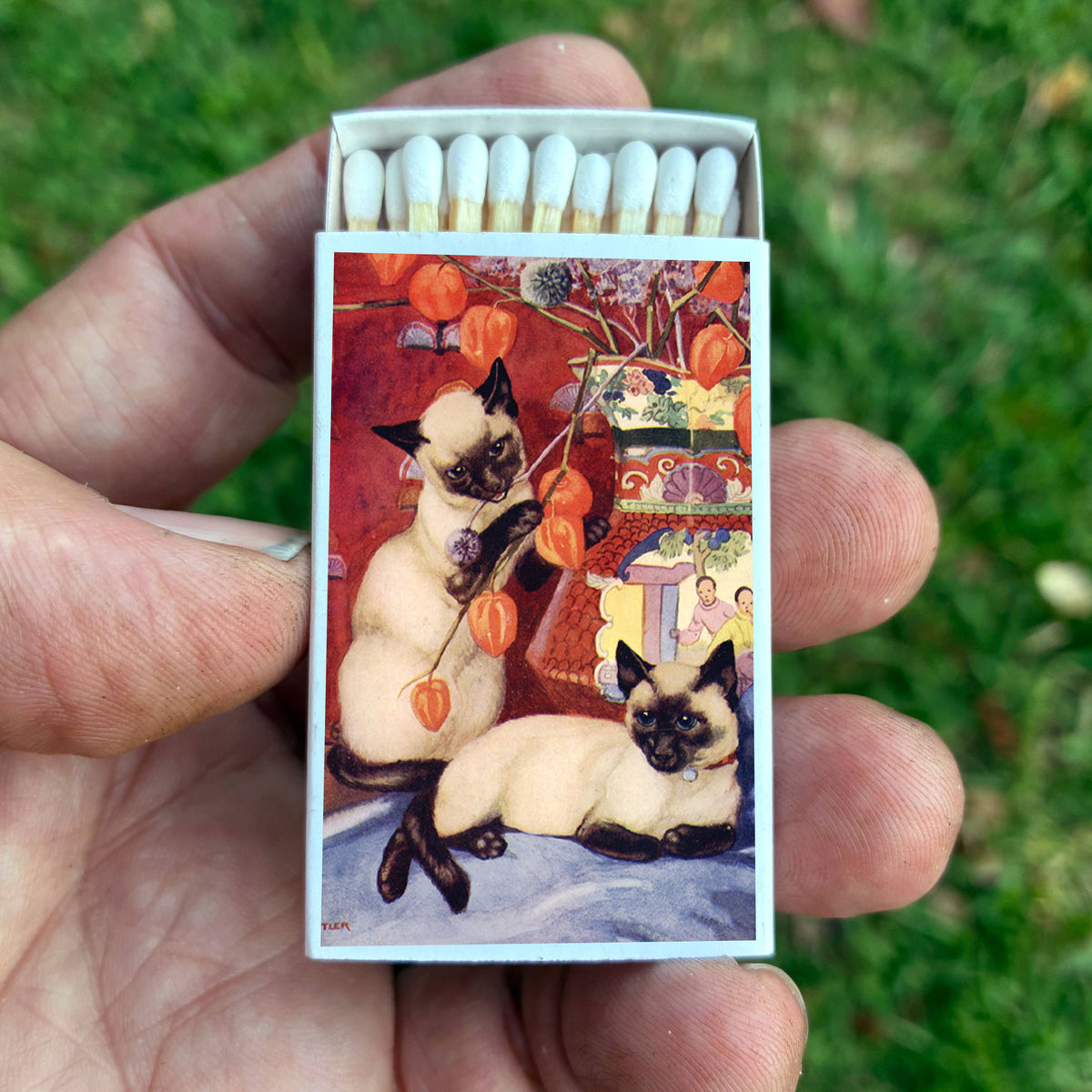 Matches - Siamese Cats