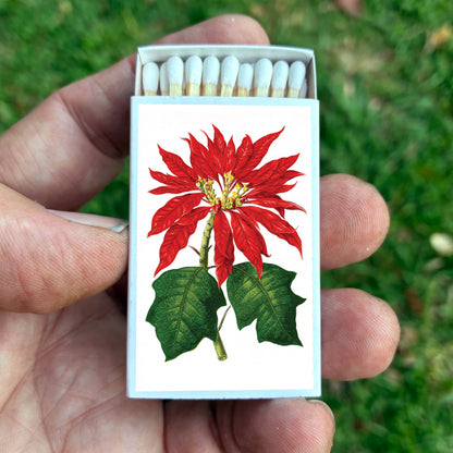Matches - Poinsettia Flowers