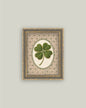 Embroidered Clover