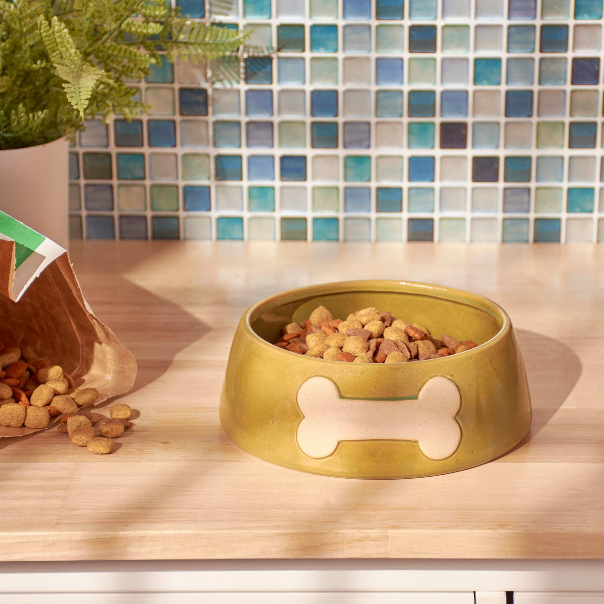 Bone Pet Bowl