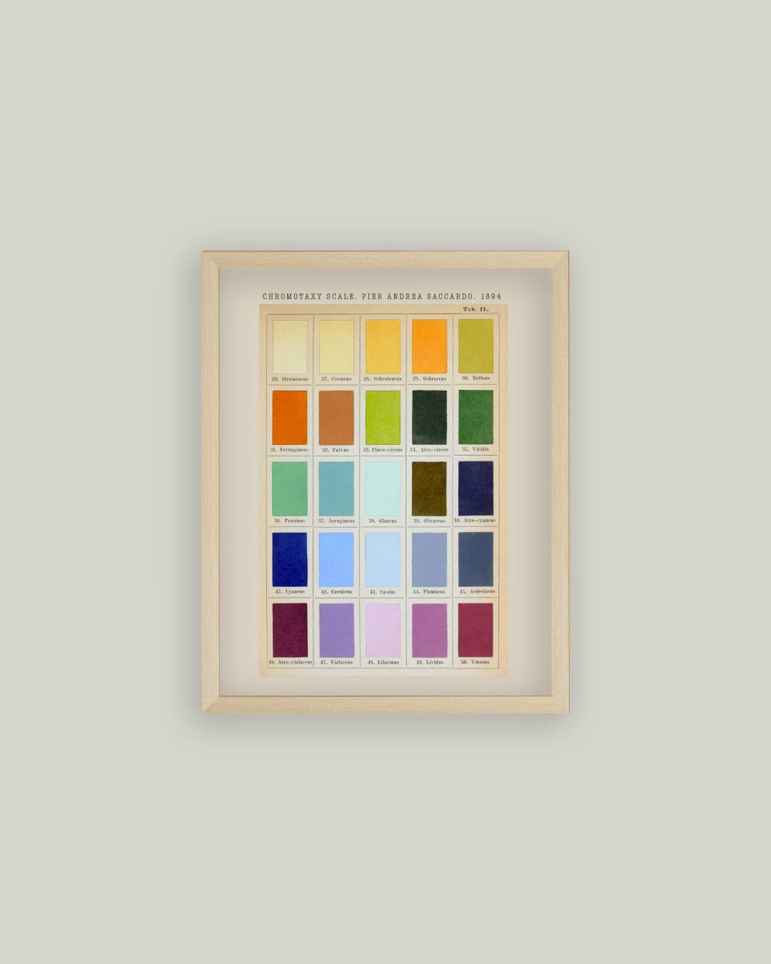 Color Swatch Framed Antique Art