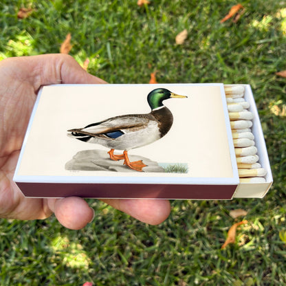 Matches - Mallard Duck