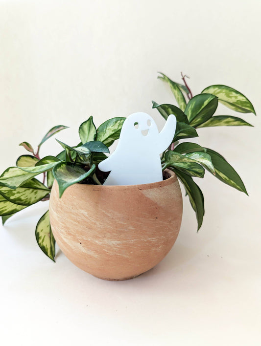 Halloween Plant Picks: Ghost