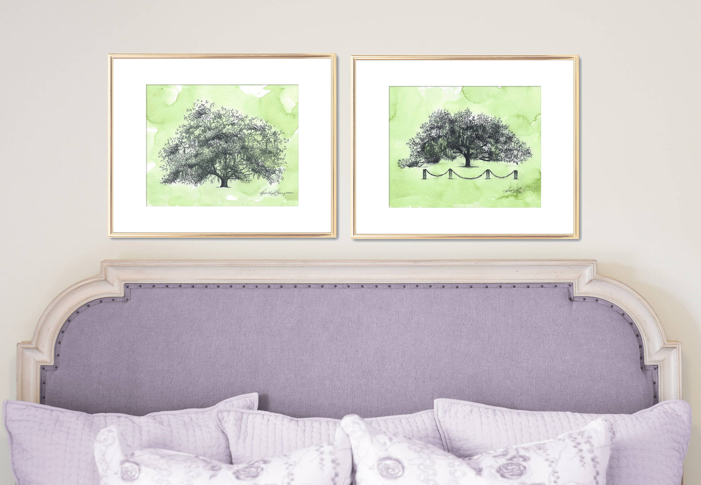Old Dairy Oak Tree