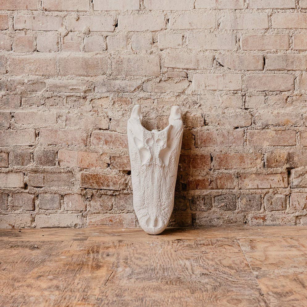 Hand Cast Plaster Alligator Skull