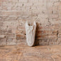 Hand Cast Plaster Alligator Skull