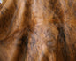 Small Cowhide Rug 5 x 7