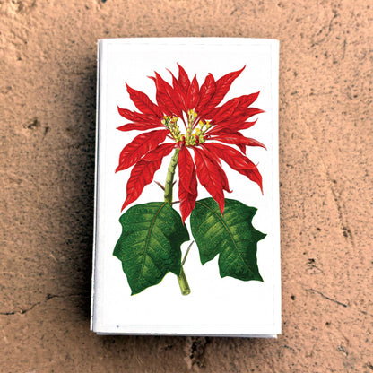 Matches - Poinsettia Flowers