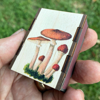 Matches - Mushroom Cluster - Wooden Matchboxes
