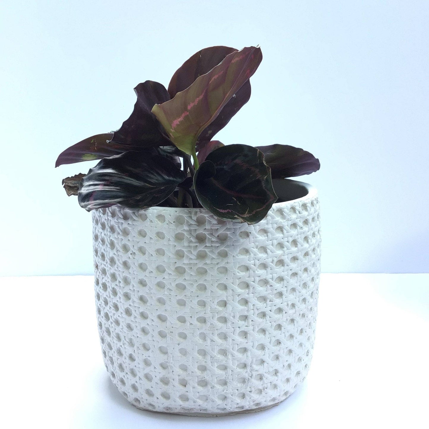 Basket Concrete Planter Pot