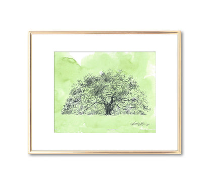 Majestic Oak Tree Fine Art Print