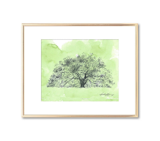 Majestic Oak Tree Fine Art Print