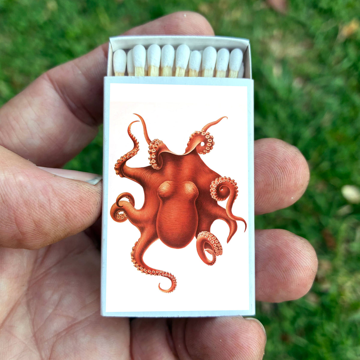 Matches - Octopus