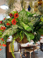 Greenery Basket