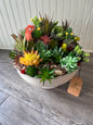 Large Succulent Bowl
