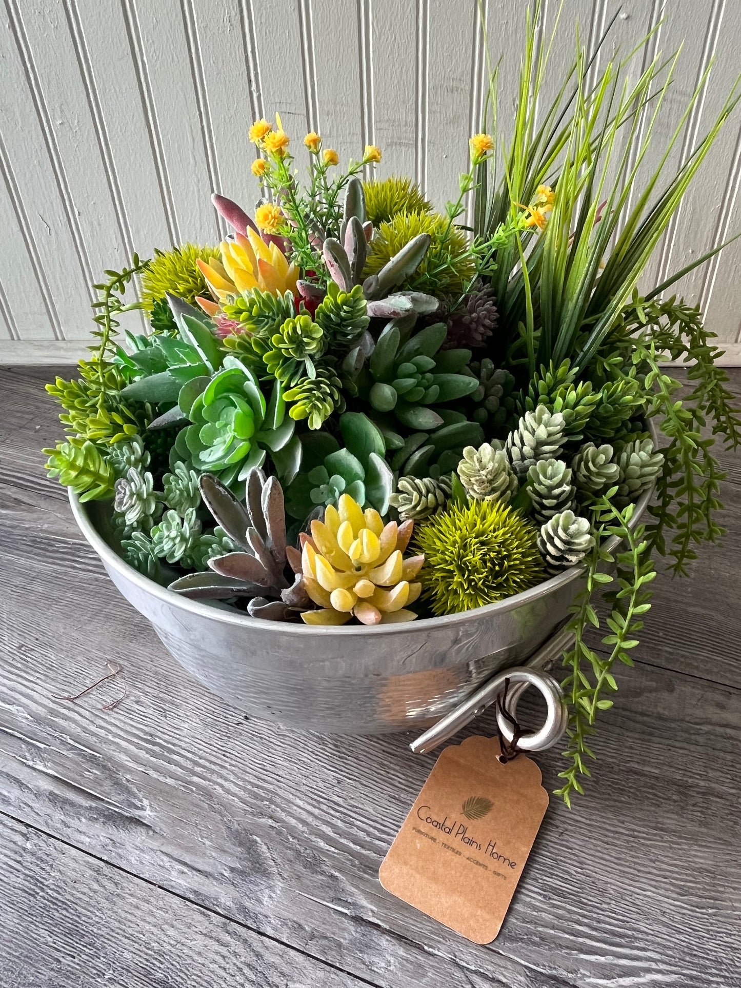 Medium Succulent Bowl